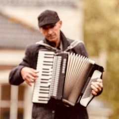 Rise again -Cover van de Mahones