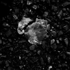 06 Scheiß auf Goldlack