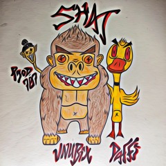SHAT ft. Vnubix (prod. 787)