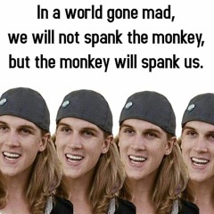 Spank the Monkey