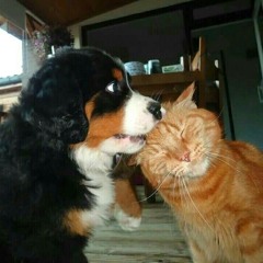 patchwork [ft. kaid]