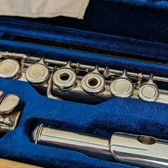 Post-Repad Junk Flute First Play AudioNotes  2023 - 03 - 13 At 13h49m28s