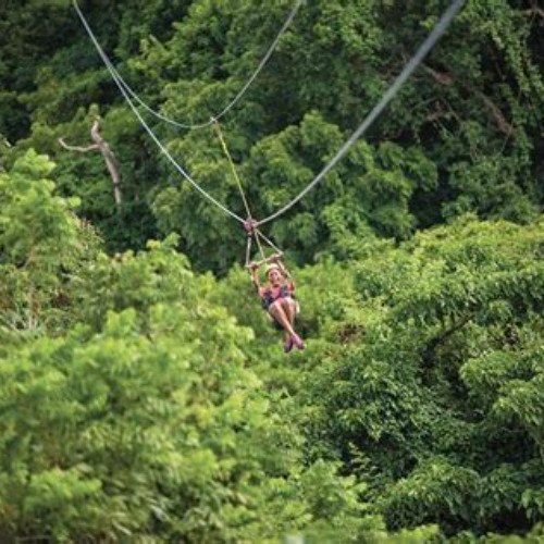 Review Special Price St Kitts Zipline Experience