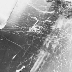 Learn to take a hint sometimes. You can’t make your emotions everyone’s problem, idk.