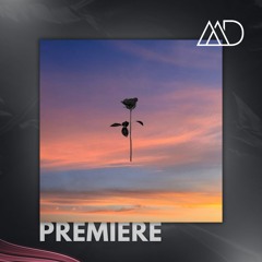 PREMIERE: Joone & CENKK - Paradise (MATARA Remix) [Black Rose Recordings]