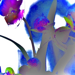 Unrestricted Independence