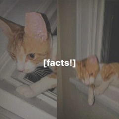 facts! prod. siahprice