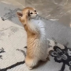 выхино на движениях #skeet