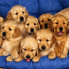 Blue Sad Song ft THEREAPPEE $ ExSORCISS LMAOSWAG