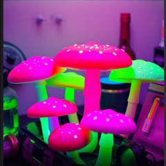 paraphernalia