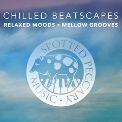 Chilled Beatscapes • Relaxed Moods • Mellow Grooves