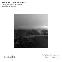 Hasta escuchar la niebla