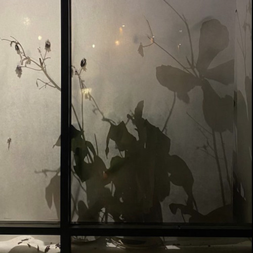 Stream Crash Instrumental by The Cancun Yacht Club Listen online for