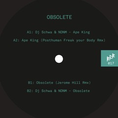 PREMIERE: DJ Schwa & Name Does Not Matter - Obsolete (Jerome Hill remix) (RFR Records)