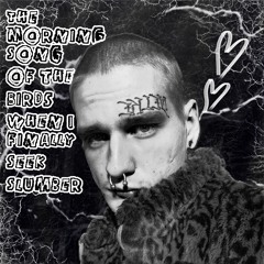 The Morning Song of the Birds When I Finally Seek Slumber