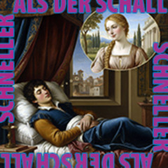 SchnellerAlsDerSchall