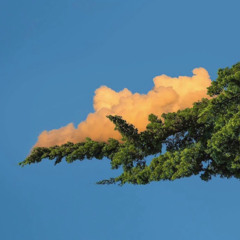 Seul - Pizarro ft. pglb (prod. alanfor)