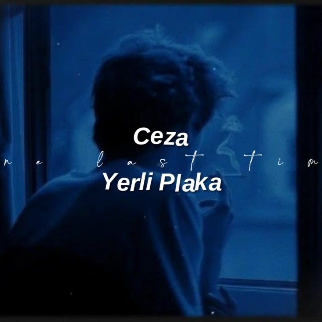 Stream Ceza - Yerli Plaka (Speed Up) by SeydBey007 | Listen online for free  on SoundCloud