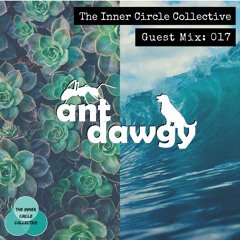 Guest Mix 017: Ant Dawgy