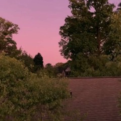 cosign* (prod. megabeats)