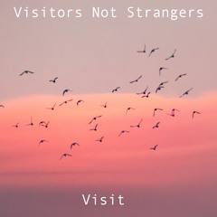 Visit