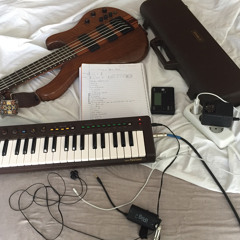 Lois - Evening in paris (cover)