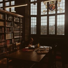 lofi study tunez