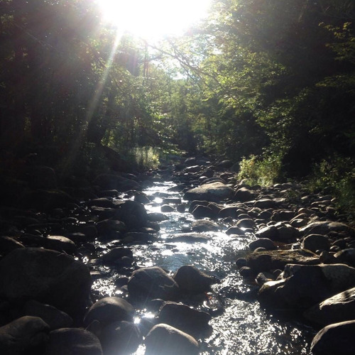 Forsaken - rayssa playlist