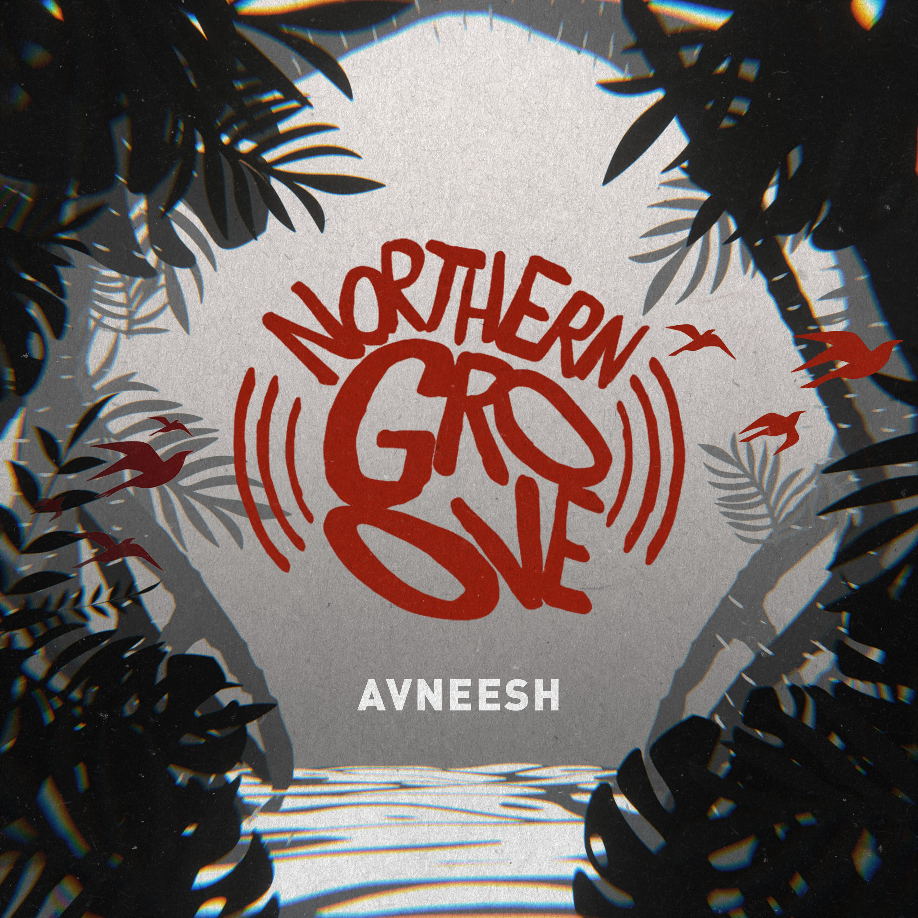 Avneesh