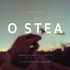 Deepcentral - O Stea (Robert Georgescu and White Remix)