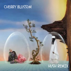 Cherry Blossom (HUSH REMIX)
