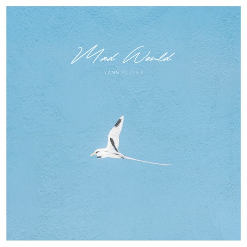 Yann Muller - Mad World