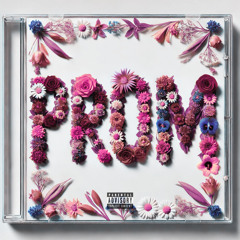 PROM (Video Coming Soon)