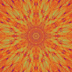 The Orchid Paradox jamn playlist (Jan. 2025)