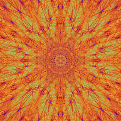 The Orchid Paradox jamn playlist (Jan. 2025)