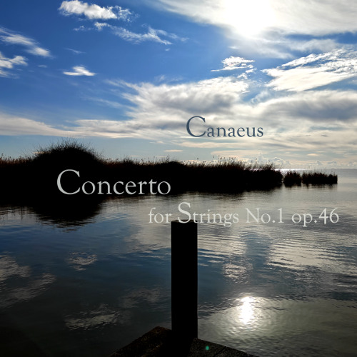 Concerto for Strings No.1 op.46 - 1. Allegretto & Adagio