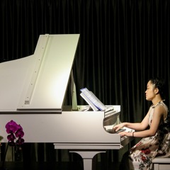 Best of musique classique au piano vol.2