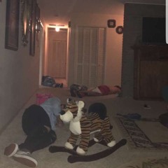 felonyxslowedxpitched