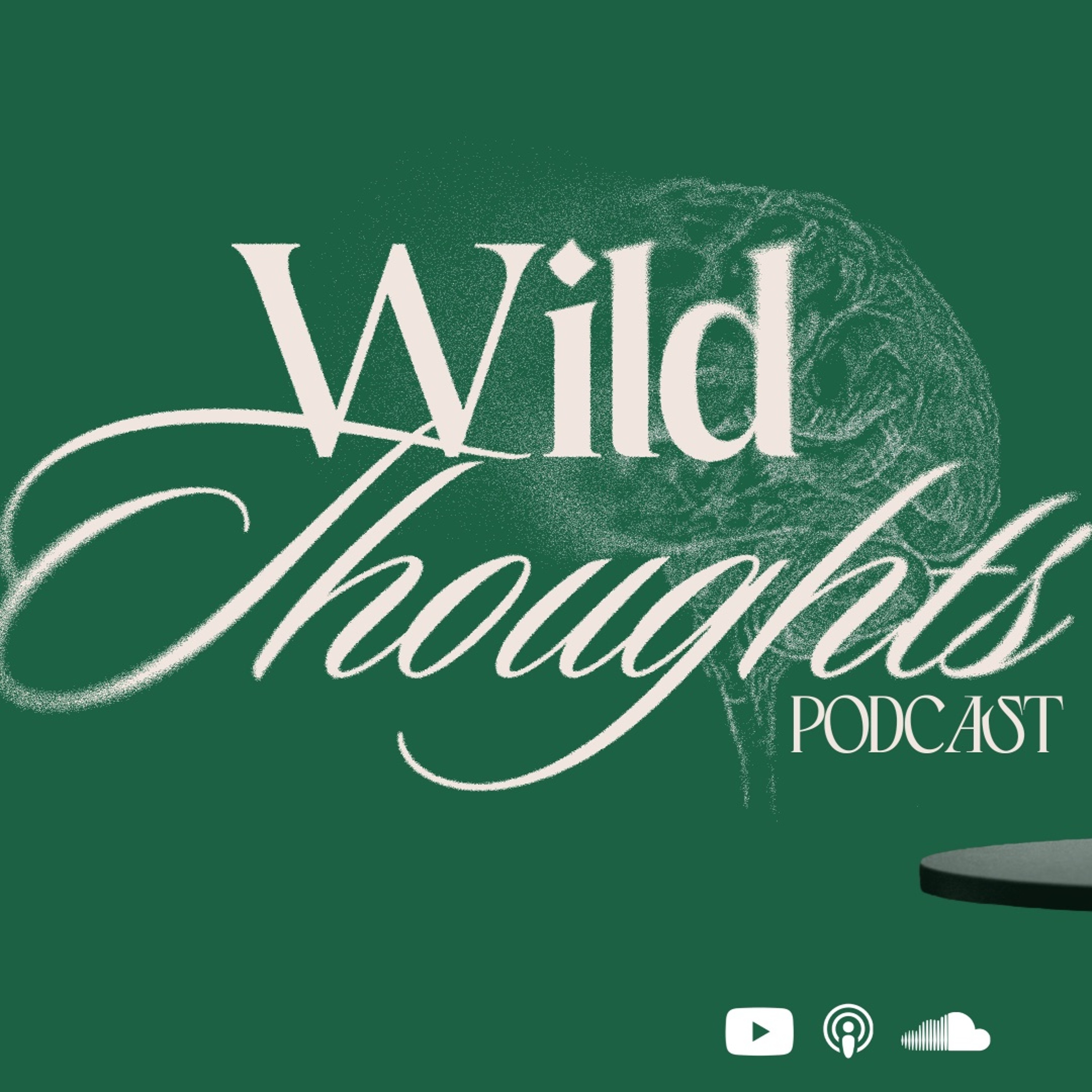 wild thoughts. 002 episode artwork