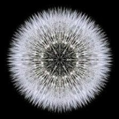 Fractal At Music Gallery Piece #3 - 11:5:23, 8.48 PM