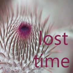 Lost time