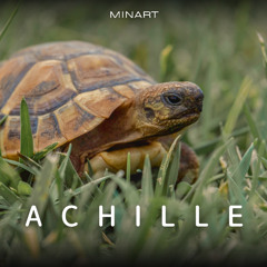Achille