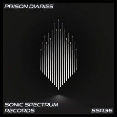 Prison Diaries - Realistic Rap Beat  Raw And Intense Instrumental