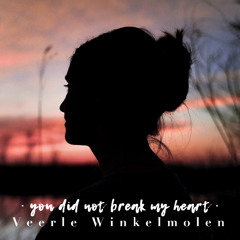 you did not break my heart