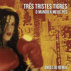 Três Tristes Tigres - O mundo a meus pés (Angel Dj Remix) - DOWNLOAD