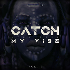 Catch my Vibe Vol.1 ( LIVE SET )