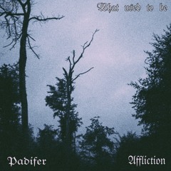 Padifer & Affliction - What used to be