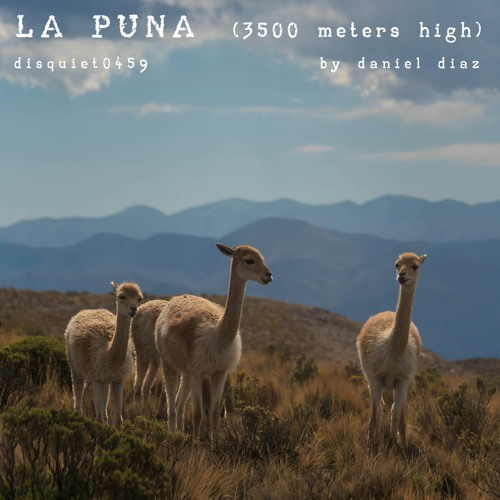 La Puna, 3500 meters high (disquiet0459)