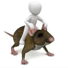 mouse shivering meme