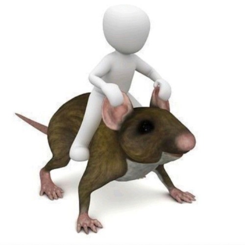 mouse shivering meme
